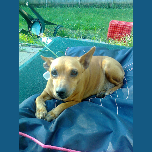 Photo of Ruby
