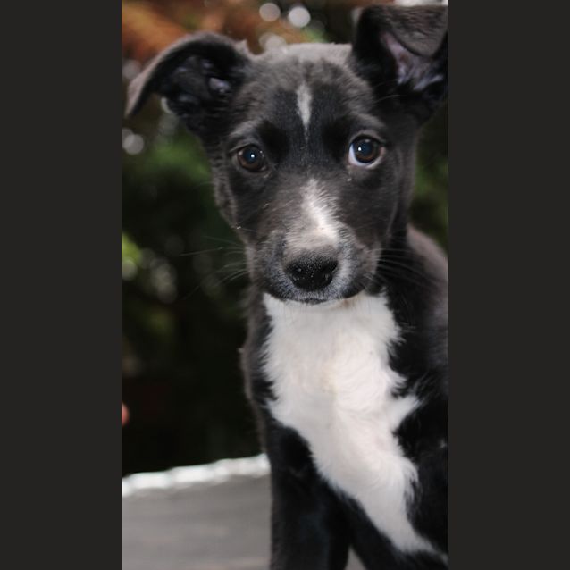 Photo of Billy