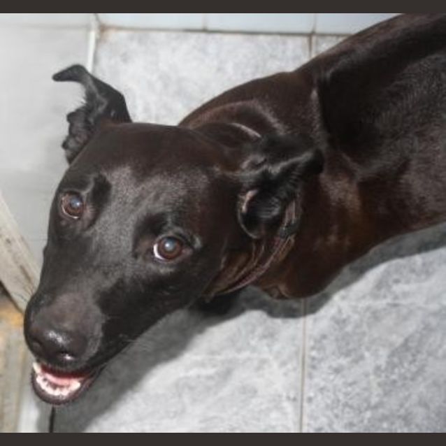 Photo of Super Sweet Tilly