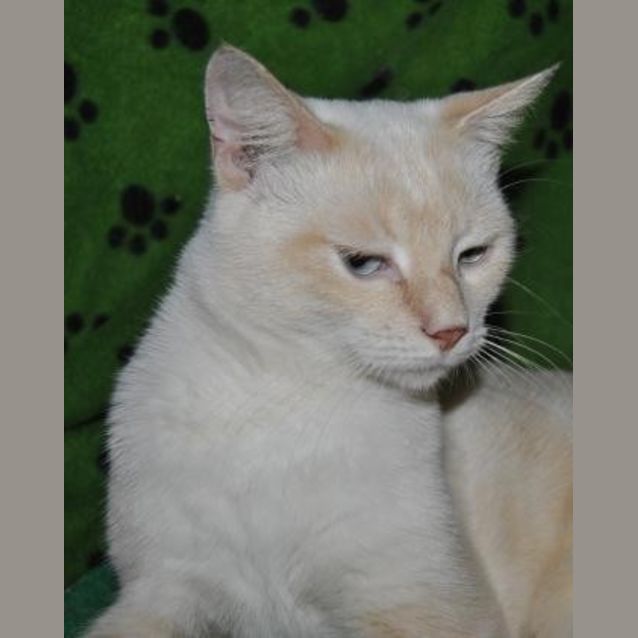 Photo of Ghost