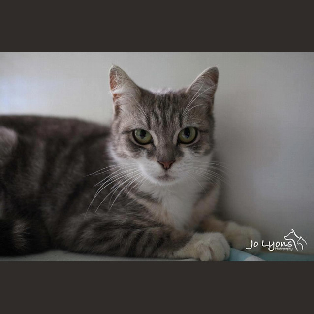 Photo of Luna