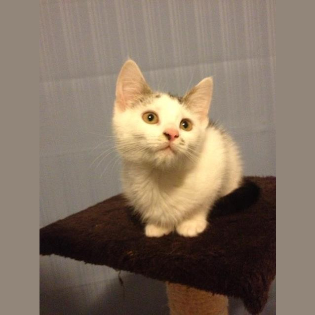 Photo of Mia