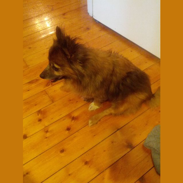 Photo of Charlie Bear