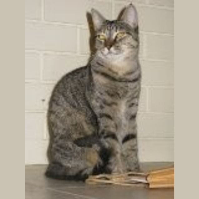 Photo of Wendy & Cody