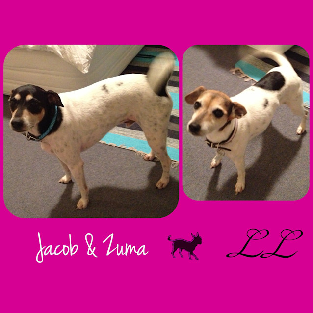 Photo of Jacob And Zuma