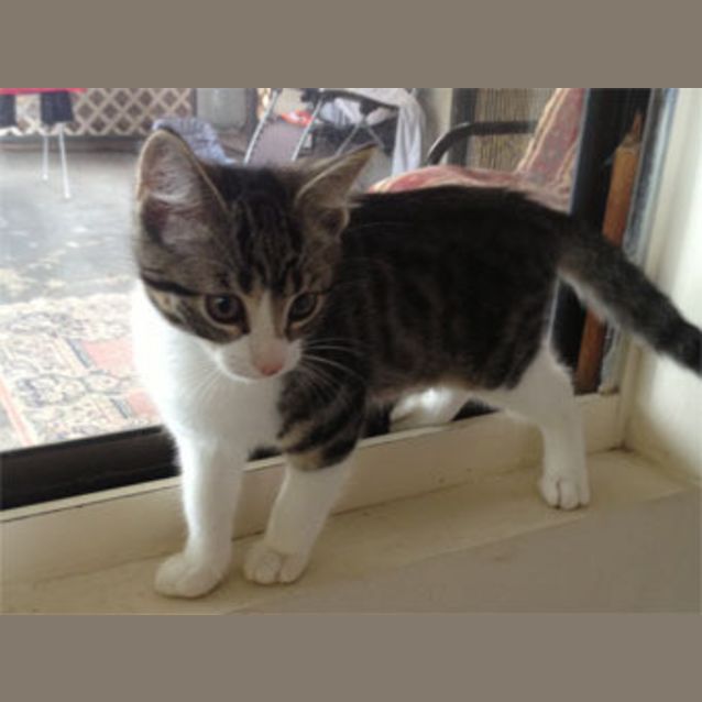 Photo of Dora