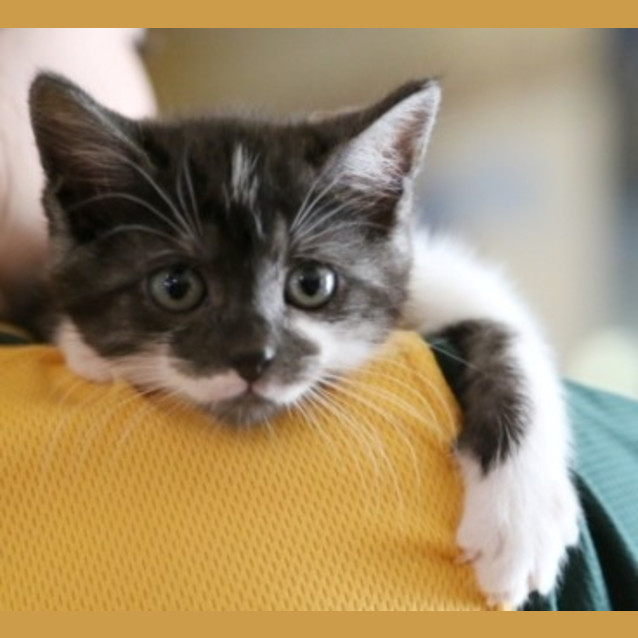 Photo of Precious
