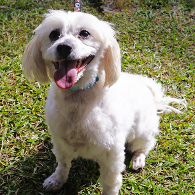 Photo of Lola