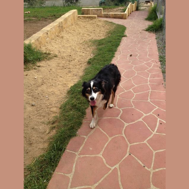 Photo of Sheila