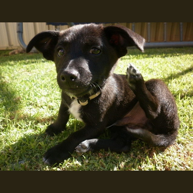 Photo of Marco *On Trial In His New Home*