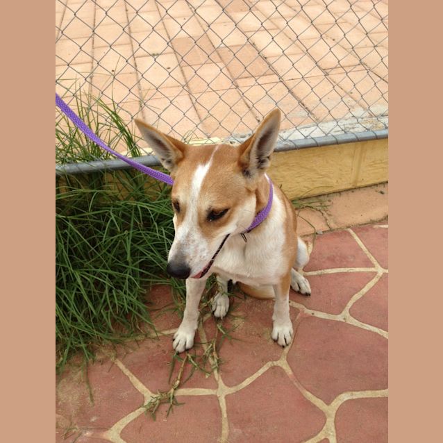 Photo of Jazz