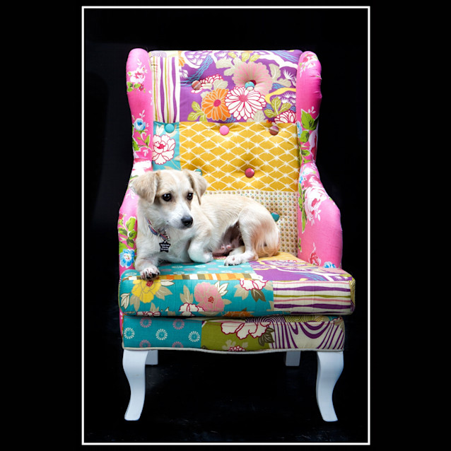 Photo of Beverly
