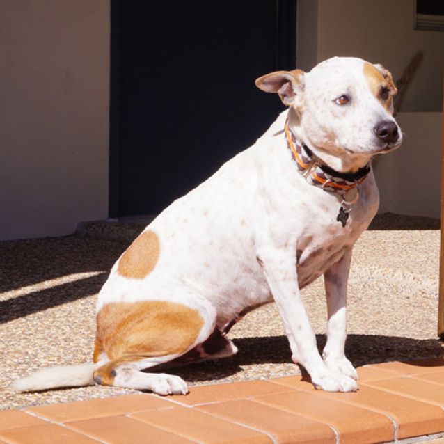 Photo of Max