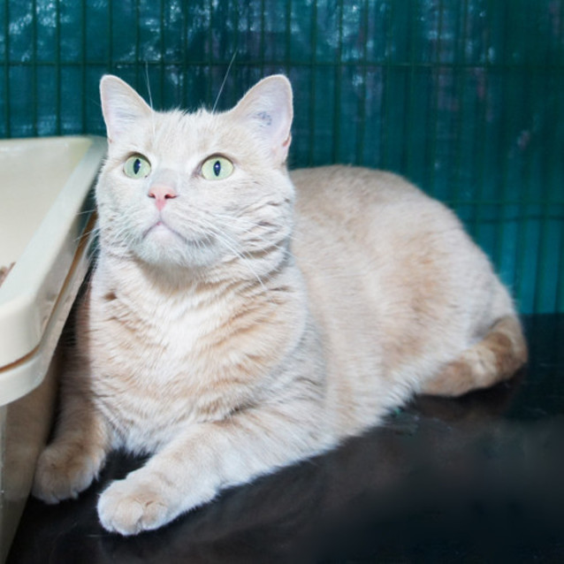 Photo of Polly