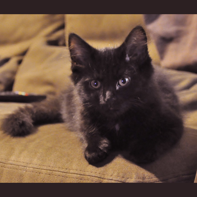 Photo of Jake