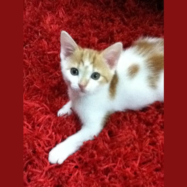 Photo of Sophie