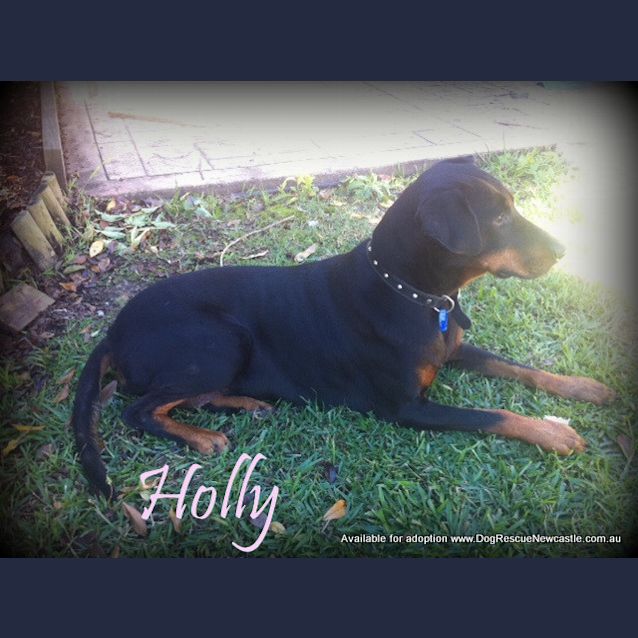 Photo of Holly (On Trial 8/6/13)