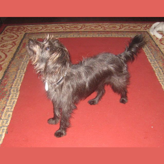 Photo of Sprinkles
