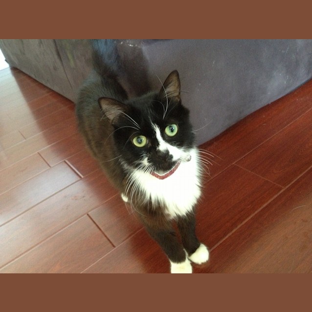 Photo of Tilly