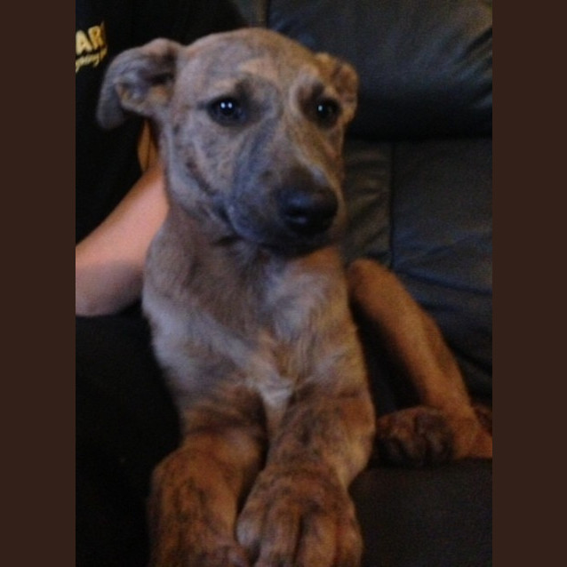 Photo of Lola