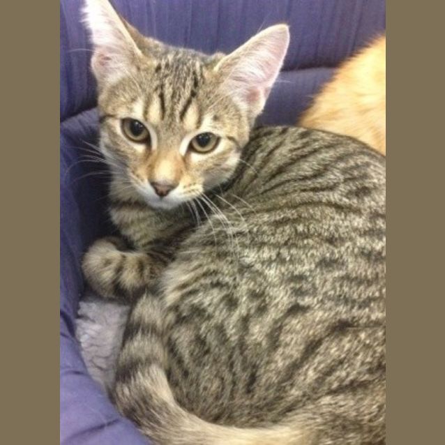 Photo of Leroy