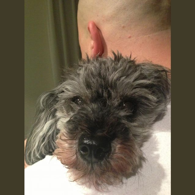 Photo of Penny