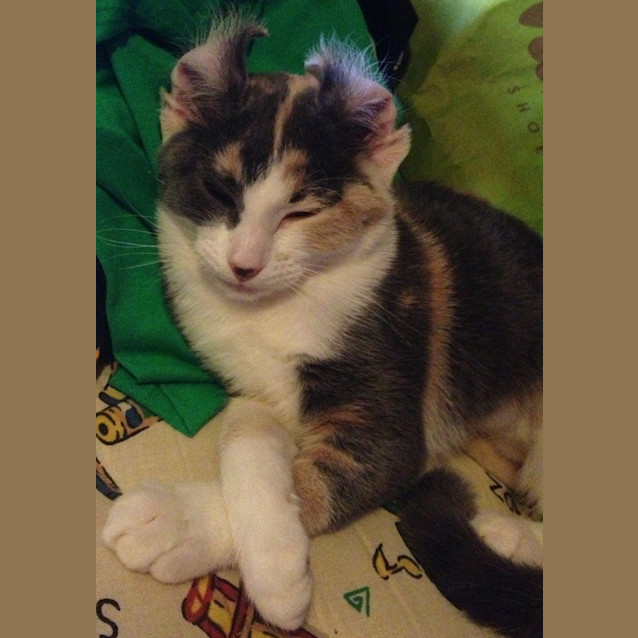 Photo of Paris And Delilah (Princess Sisters)