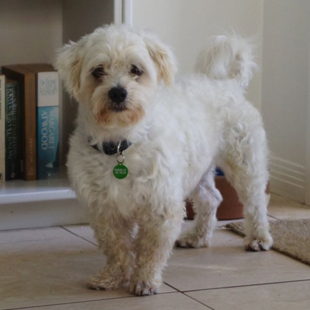 Photo of Bobby
