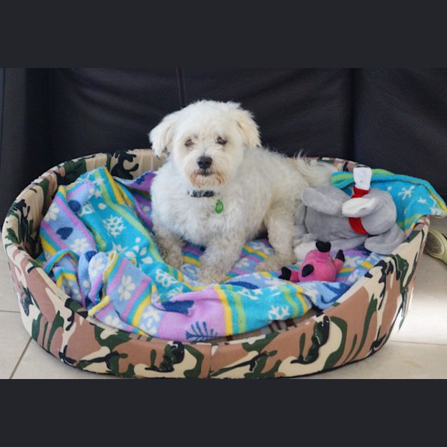 Photo of Bobby