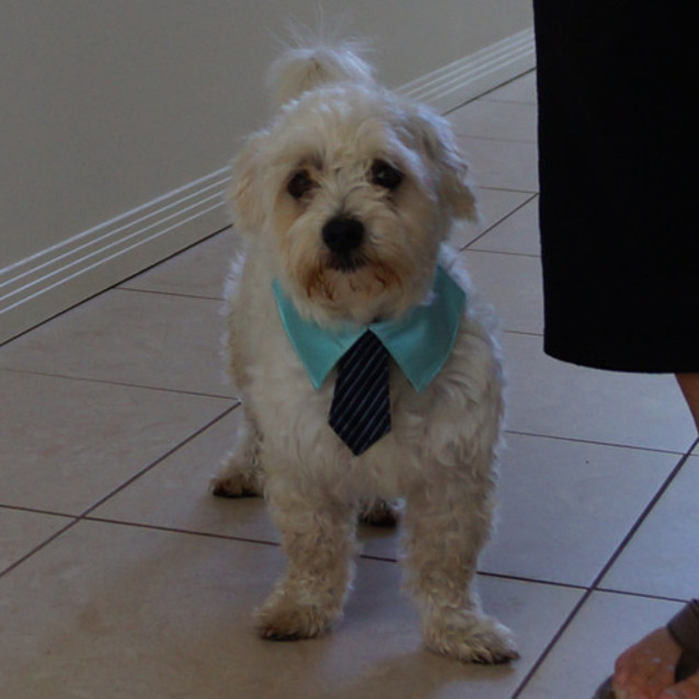 Photo of Bobby
