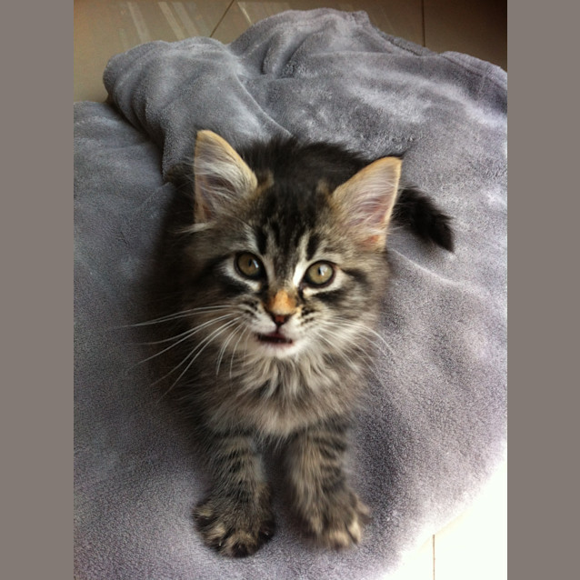 Photo of Imogen