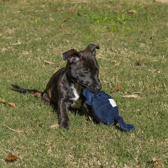 Photo of Emmy