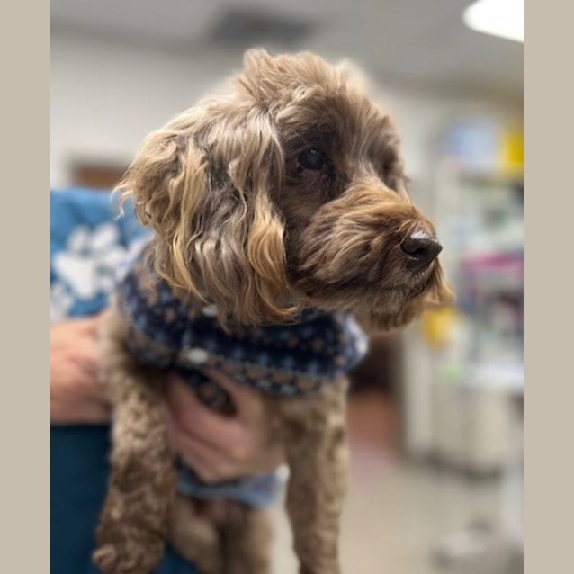Photo of Ollie   Senior Boy