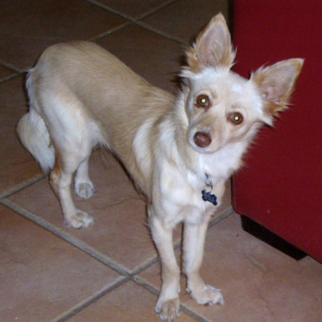 Photo of Meggie