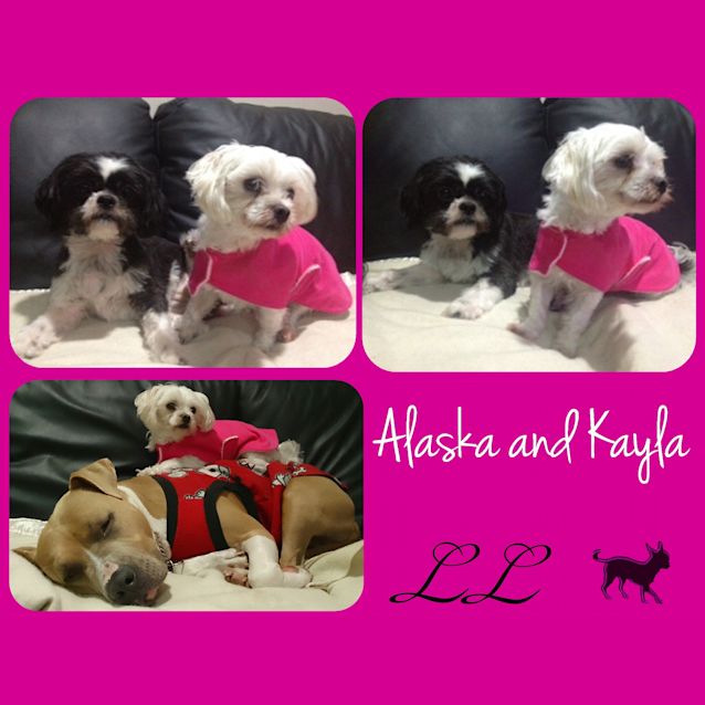 Photo of Alaska And Kayla 