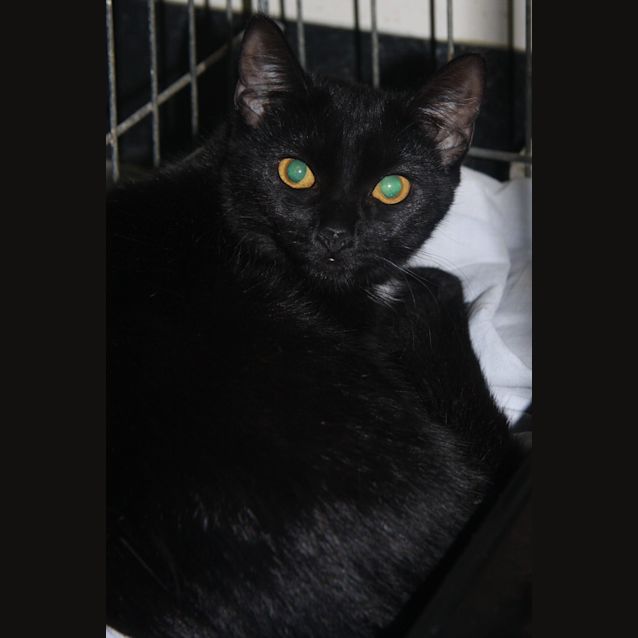 Photo of Minka