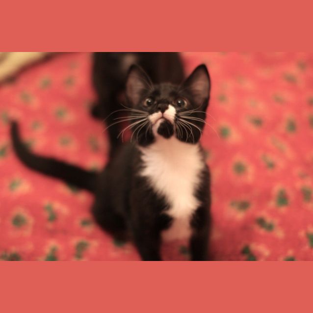 Photo of Lilly