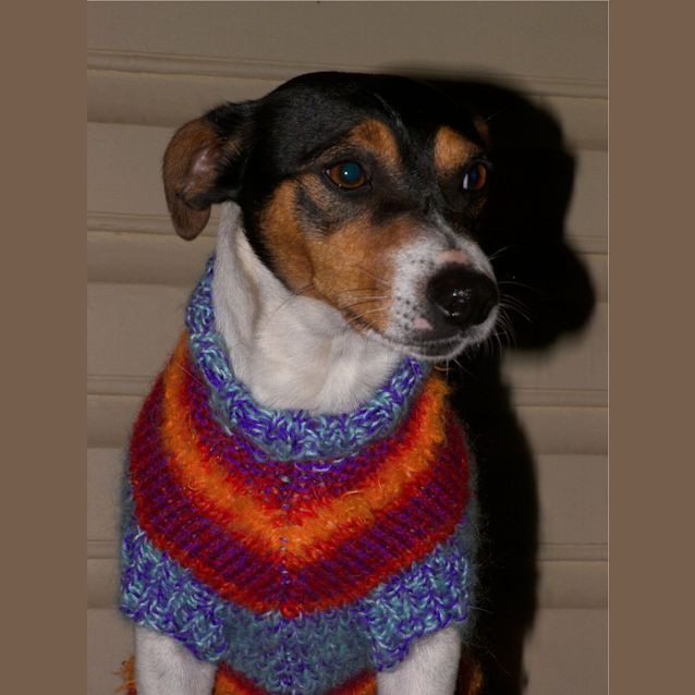 Photo of Rocco