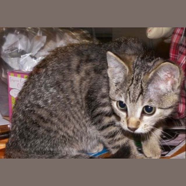 Photo of Dotty