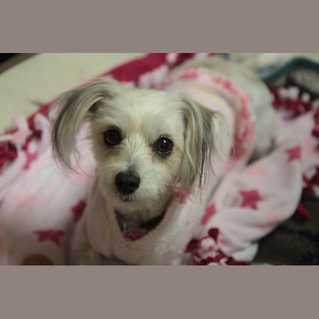 Photo of Ellie