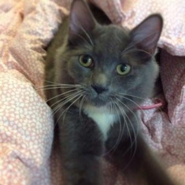 Photo of Chloe