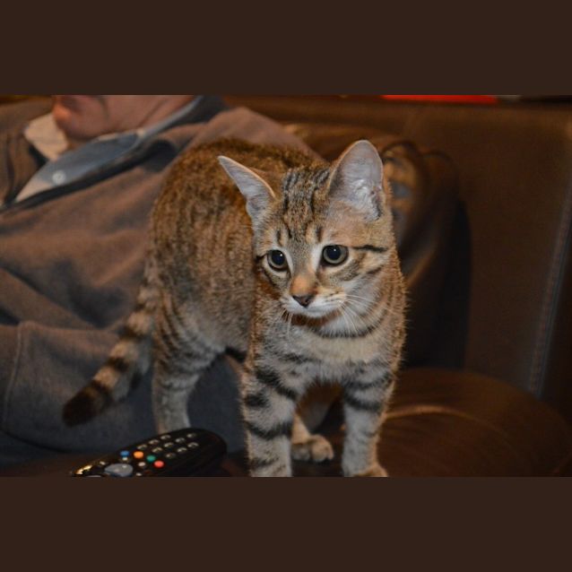 Photo of Zoe