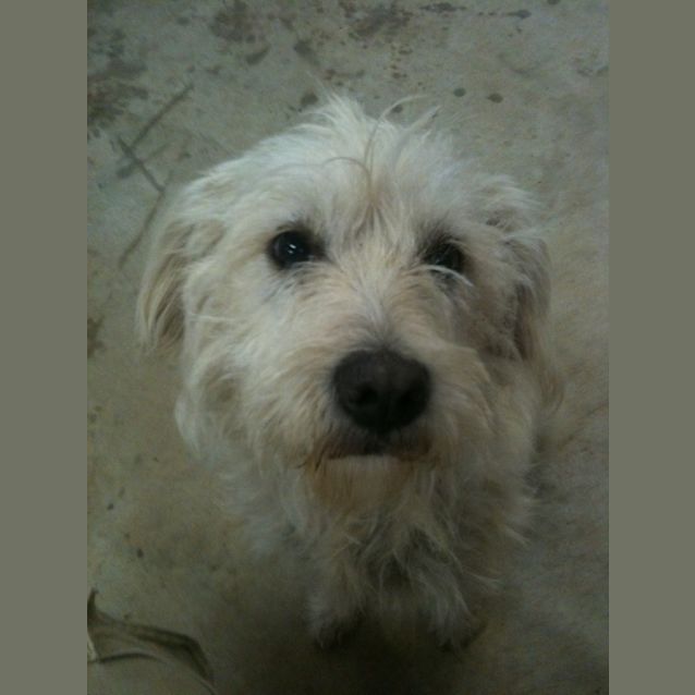 Photo of Flossy