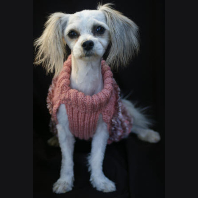 Photo of Madeline