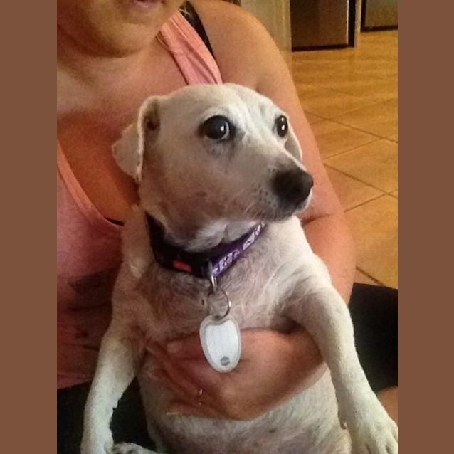 Photo of Pearl 