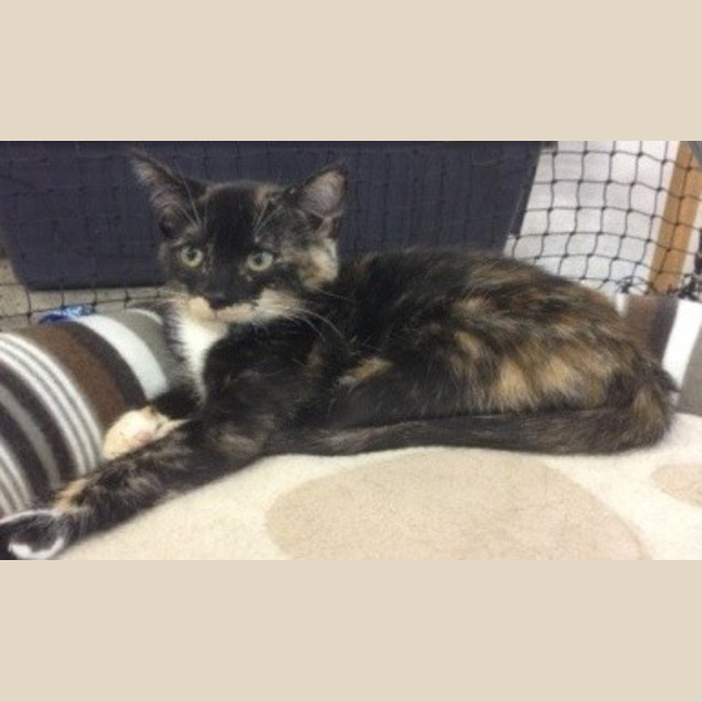 Photo of Esme