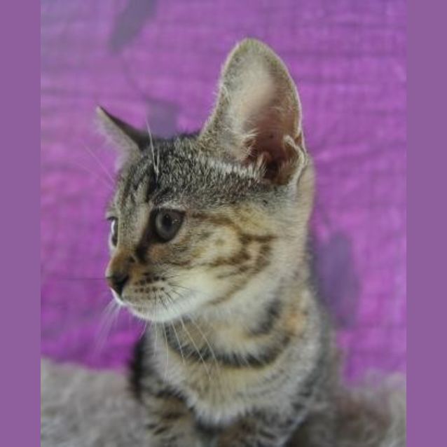 Photo of Jemima