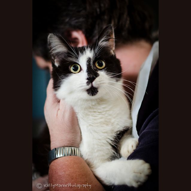 Photo of Lucy