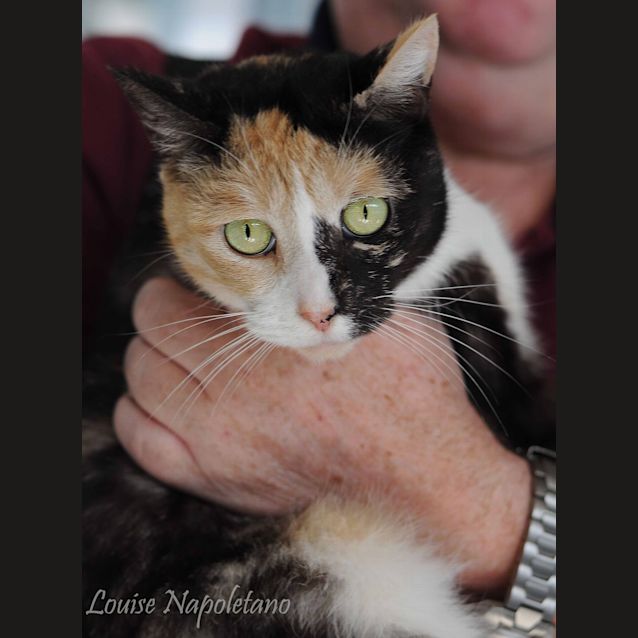 Photo of Annie