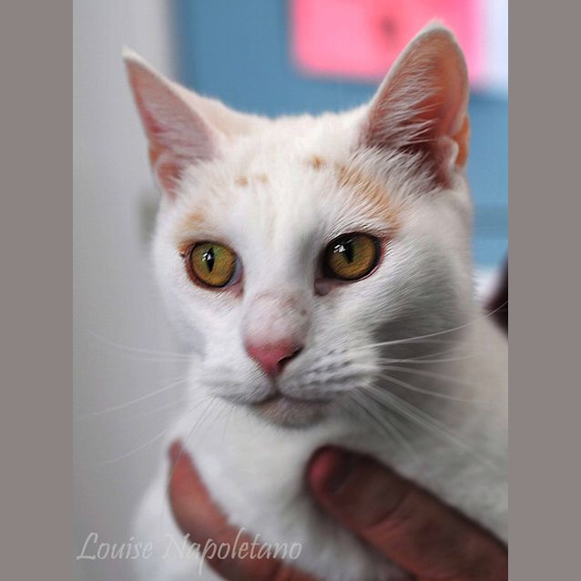 Photo of Sally